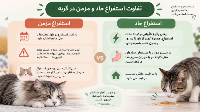 تفاوت استفراغ حاد و مزمن در گربه