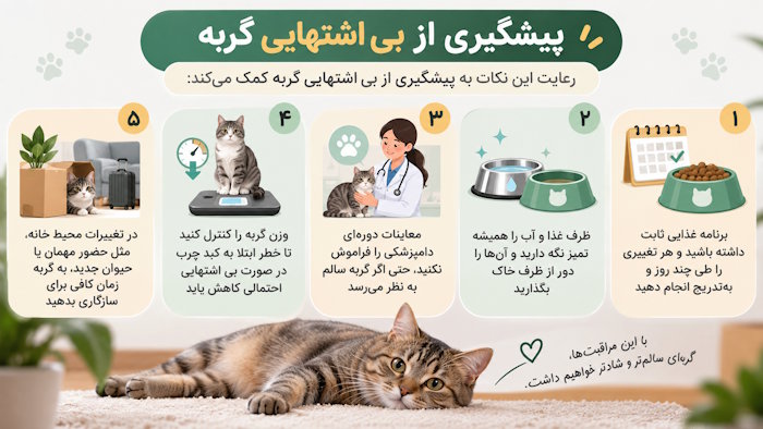 پیشگیری از بی اشتهایی گربه