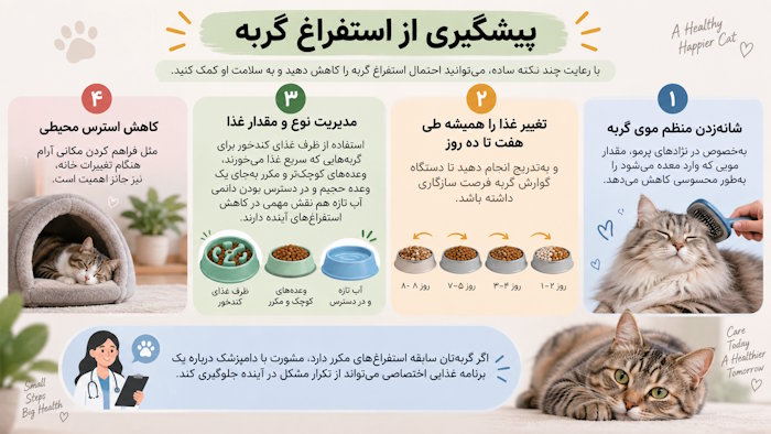 پیشگیری از تکرار استفراغ گربه