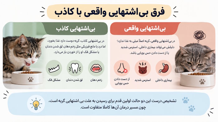 فرق بیاشتهایی واقعی با کاذب