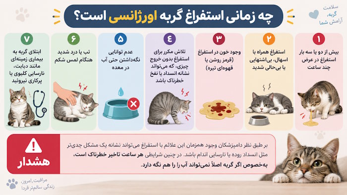 چه زمانی استفراغ گربه اورژانسی است؟