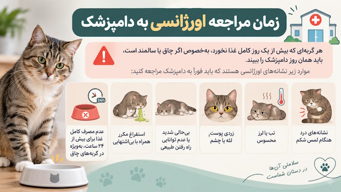 زمان مراجعه اورژانسی به دامپزشک