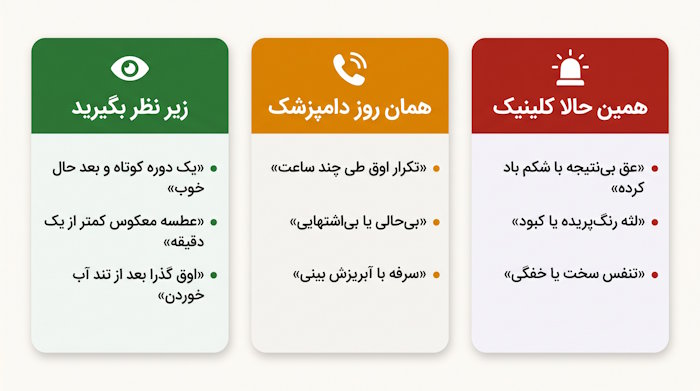 راهنمای سهرنگ تصمیمگیری برای اوق زدن سگ بدون استفراغ