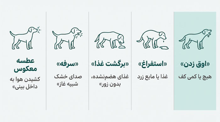 تفاوت اوق زدن، استفراغ، برگشت غذا، سرفه و عطسه معکوس در سگ