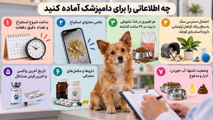 چه اطلاعاتی را برای دامپزشک آماده کنید