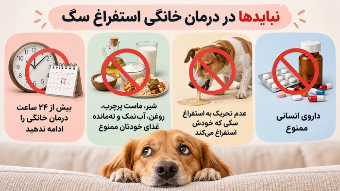 نبایدهای درمان خانگی استفراغ سگ